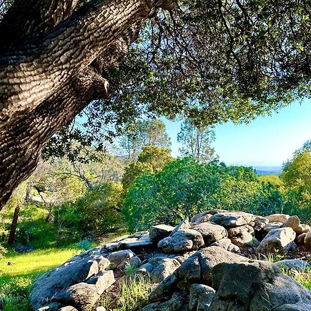 Emerald Ranch Of Yosemite Villa โคสต์โกลด์ ภายนอก รูปภาพ