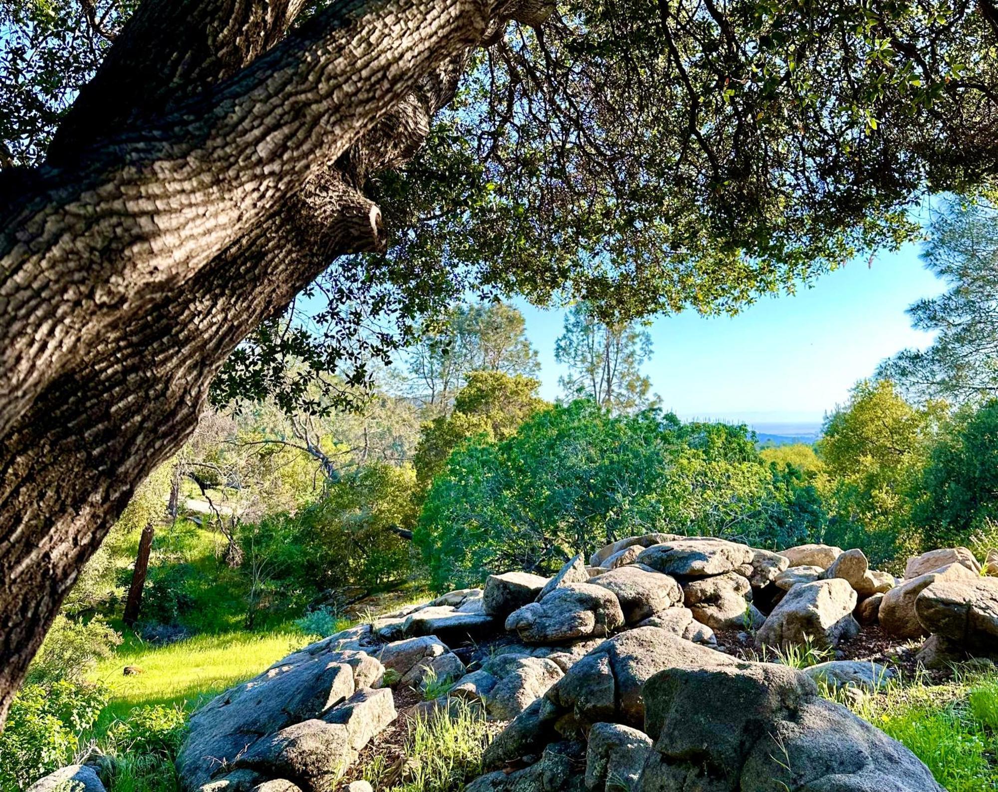 Emerald Ranch Of Yosemite Villa โคสต์โกลด์ ภายนอก รูปภาพ